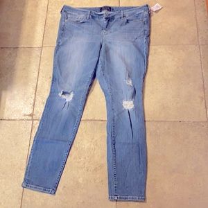 20T Torrid distressed jeans